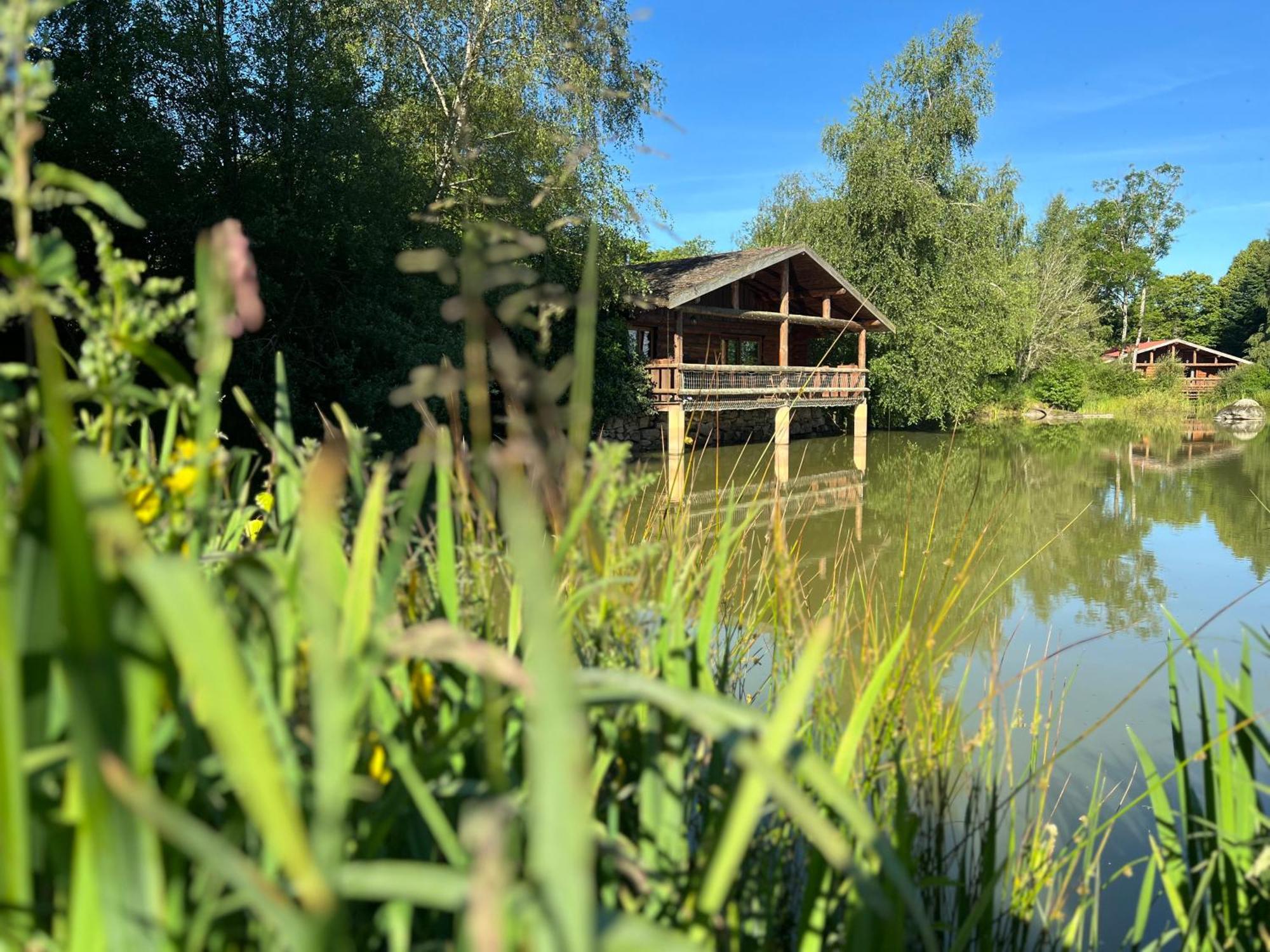 Le Domaine De La Vergnolle Roches  Dış mekan fotoğraf