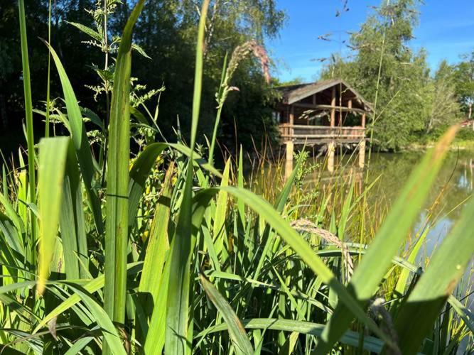 Le Domaine De La Vergnolle Roches  Oda fotoğraf